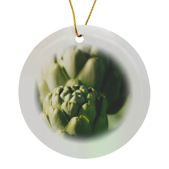 3drose, Artichoke Agriculture Growing in California - Us05 Dfr0290 - David R. Frazier, Circle Porcelain Ornament