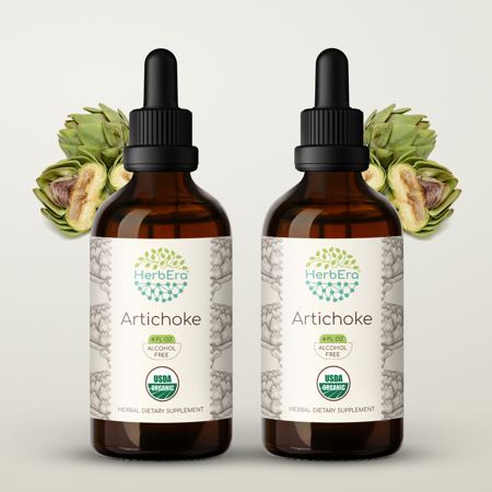 Artichoke Alcohol-FREE Herbal Extract Tincture, Super-Concentrated Organic Artichoke (Cynara scolymus) Dried Leaf 2x4 oz