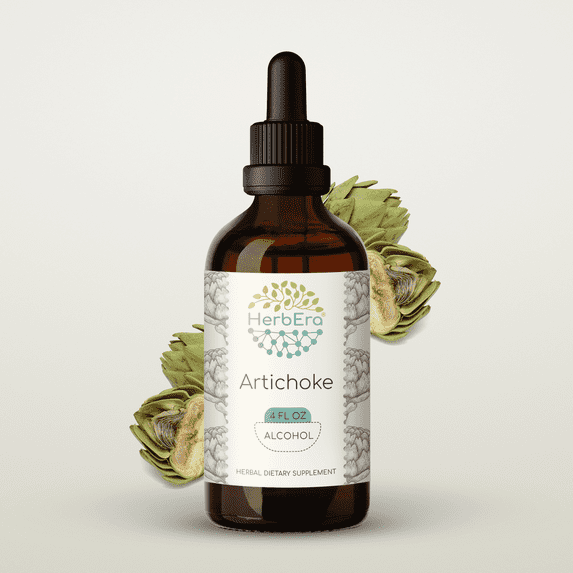 HerbEra Artichoke Tincture, Herbal Dietary Supplement for Liver Support, Artichoke (Cynara scolymus) Dried Leaf Extract, Natural, Alcohol Tincture, Drops 4 oz