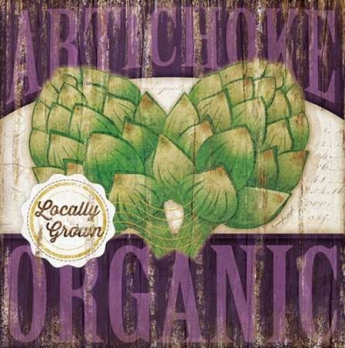 Artichoke Canvas Art - Jennifer Pugh (24 x 24)