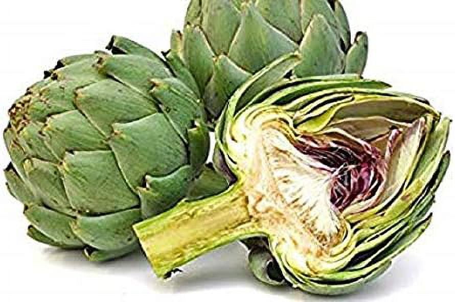 Artichoke, Green Globe, Heirloom, 100+ Seeds, Large Healthy Tasty