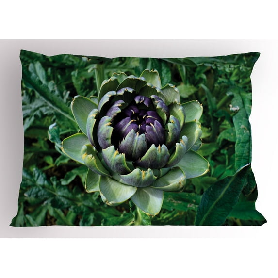 Artichoke Pillow Sham Photograph of Blooming Vegetable Agriculture Nature Artwork Print, Decorative Standard King Size Printed Pillowcase, 36 X 20 Inches, Fern Green and Purple, by Ambesonne