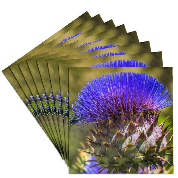 3drose, Artichoke Thistle Blooms, Desert Botanical Garden, Phoenix, Arizona., Set of 8 Ceramic Tile Coasters