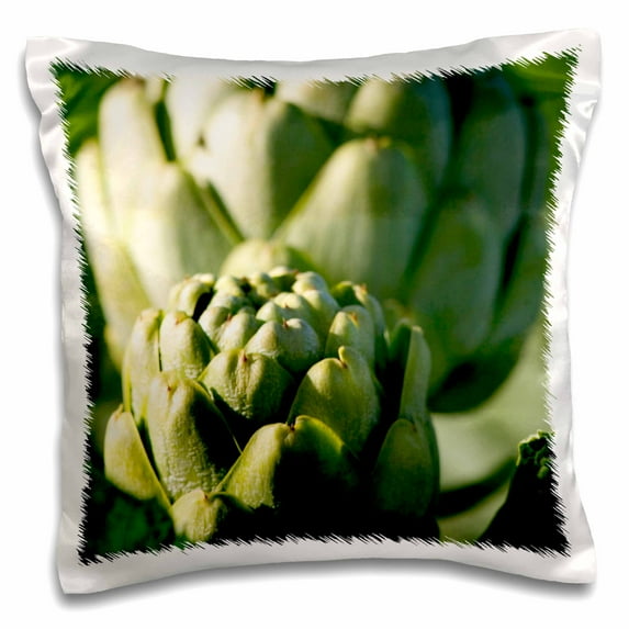 3dRose, Artichoke agriculture growing in California - US05 DFR0290 - David R. Frazier, 16x16 inch Pillow Case
