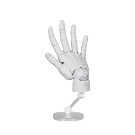 Articulated Hand Model for Artists, Posable Mannequin Hand with Flexible Joints, Adjustable Art Hand Model for Drawing, Sketching, Painting, Right Hand