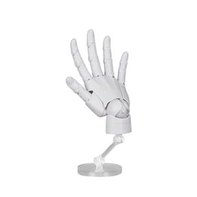 Articulated Hand Model for Artists, Posable Mannequin Hand with Flexible Joints, Adjustable Art Hand Model for Drawing, Sketching, Painting, Right Hand