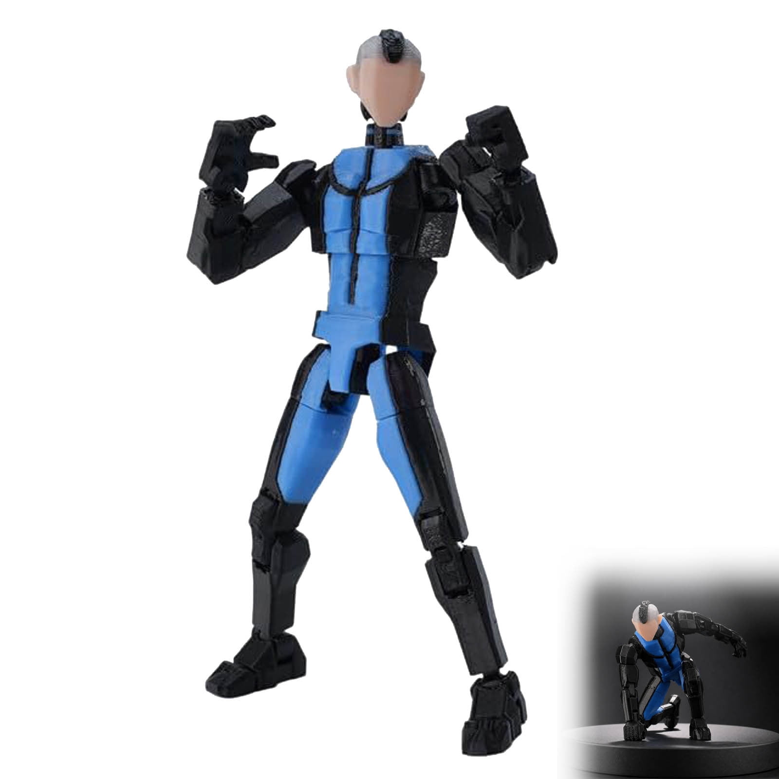 Humanoid Robot