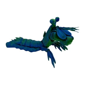 Articulated Mantis Shrimp 3D Printed Collectible Figurine Premium Desktop Decor and Marine Life Display Model Flexible Crustacean Sculpture Green