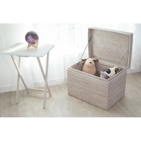 Artifacts Rattan Rectangular Hinged Chest/Trunk