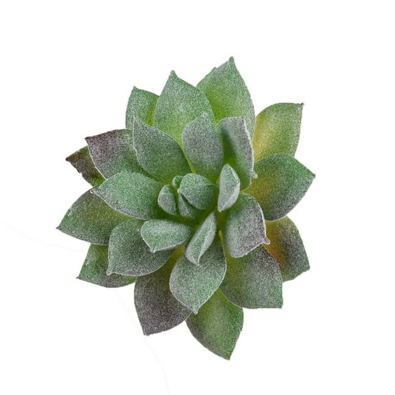 Artifical Plastic Succulent Plant Echeveria Flower Home Office Decor Bonsai Fake Plants Without Pot Wedding Decoration Green