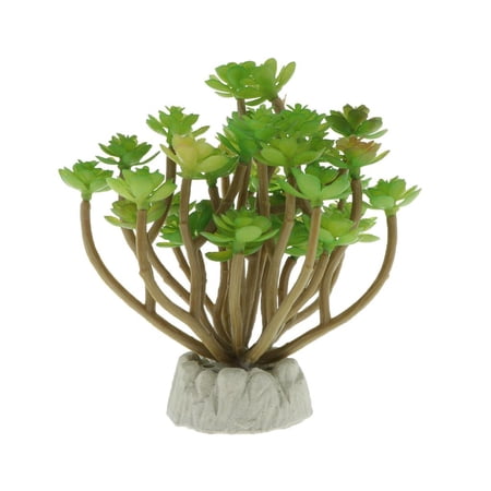 Artifical and Lifelike Succulent Plants, Providing Natural for Your Reptile Pets, Iguana, or Turtle Lotus