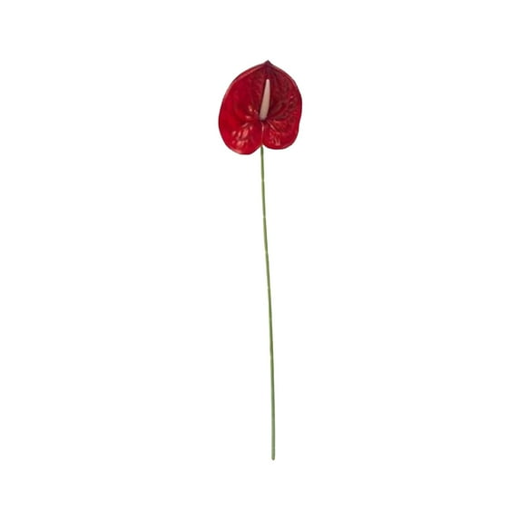 Artificial Anthurium Flower 17.7 Inch – Real Touch Faux Stems for Home Décor, Wedding Centerpieces, Party Decorations, Bathroom Decor