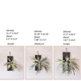 thumbnail image 1 of Artificial Antler Fern on Solid Wood Base, 1 of 7