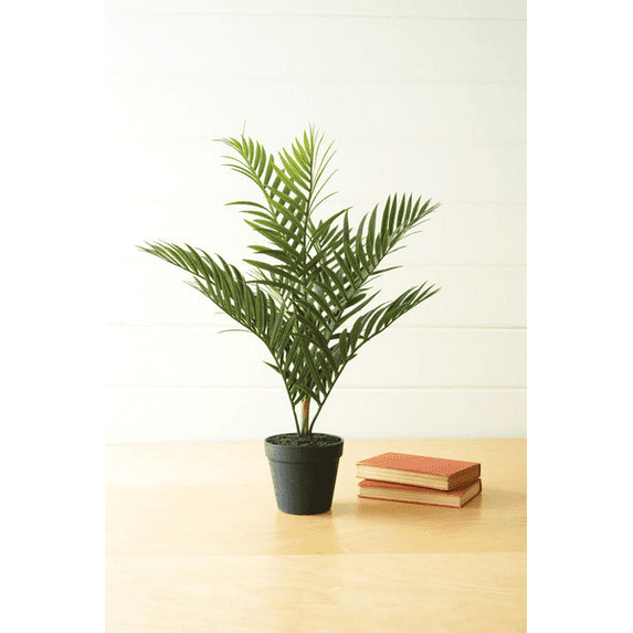 Artificial Areca Palm In A Black Pot