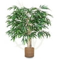 Artificial Bamboo Tree 3.5FT Tall, Fake Tree with Natural Trunk