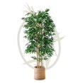 Artificial Bamboo Tree 6FT Tall, Fake Tree with Natural Trunk and