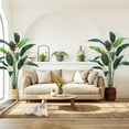 thumbnail image 1 of Artificial Bird of Paradise Plant 6FT(72in) FakeTree for Indoor Outdoor Modern Decor Faux Plants for Home Office Perfect Housewarming Gift with 17 Trunks Faux Leaves and 3 Faux Flowers, 1 of 7