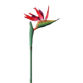 Artificial Bird of Paradise, Voguev Artificial Flowers Indoor Large Bird of Flower No Fade Flower Part Is Made of Soft Rubber Pu Artificial Flower Plants for Home Large Flower Super Quality Red