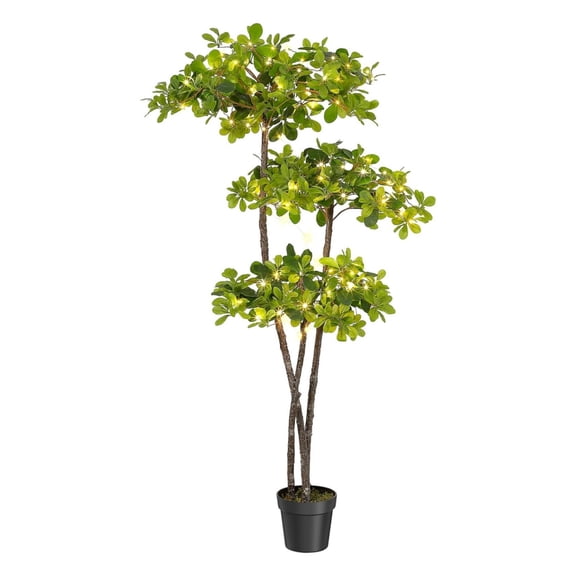 Artificial Black Olive Tree,5/6Ft Tall Faux Olive Tree in Pot with 2 Tier,Fake Plants with 50 Lights and Dimmer for Indoor Living Room Office Decor&Housewarming Gift
