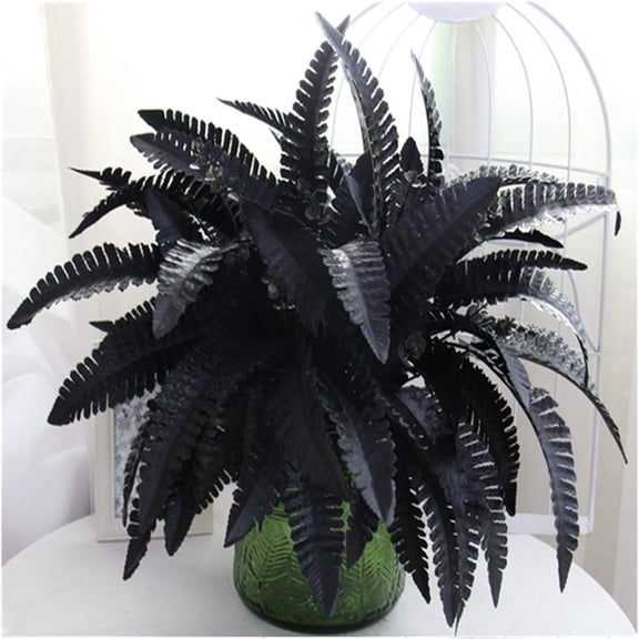 Artificial Black Persian Fern Leaf , 4 Packs | Realistic Plastic Greenery, Wedding & Shop Background Decor, Indoor/Outdoor