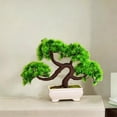 thumbnail image 1 of Artificial Bonsai Tree Desktop Small Fake Tree for Bookshelf Office Tabletop, 1 of 10