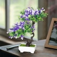 thumbnail image 1 of Artificial Bonsai Tree-Fake Plant in Pot Artificial Plants, Faux Bonsai Pine Bonsai Artificial Plants for Home Decor Indoor, Office/Windowsill/Yard,Desktop Display 50% Saving, 1 of 6