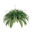 thumbnail image 1 of Artificial Boston Ferns Large 80 Branches, Indoor Outdoor Plants, Low Maintenance Fake Fern Decor, Lifelike Plastic Plants for Home Garden Porch, 1 of 7
