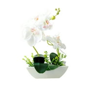 Artificial Butterfly Orchid Flowers Silk Orchids Faux Orchid Plant in Pot Phalaenopsis Plants Large with Ceramic Vase for Home Decor Office Table Centerpieces Wedding Party