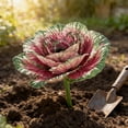thumbnail image 1 of Artificial Cabbage Decor - 11.8x10.2 Inch Realistic Plastic Botanical Vegetable for Home, Wedding & Kitchen Centerpiece, Purple Green Foliage, 1 of 6