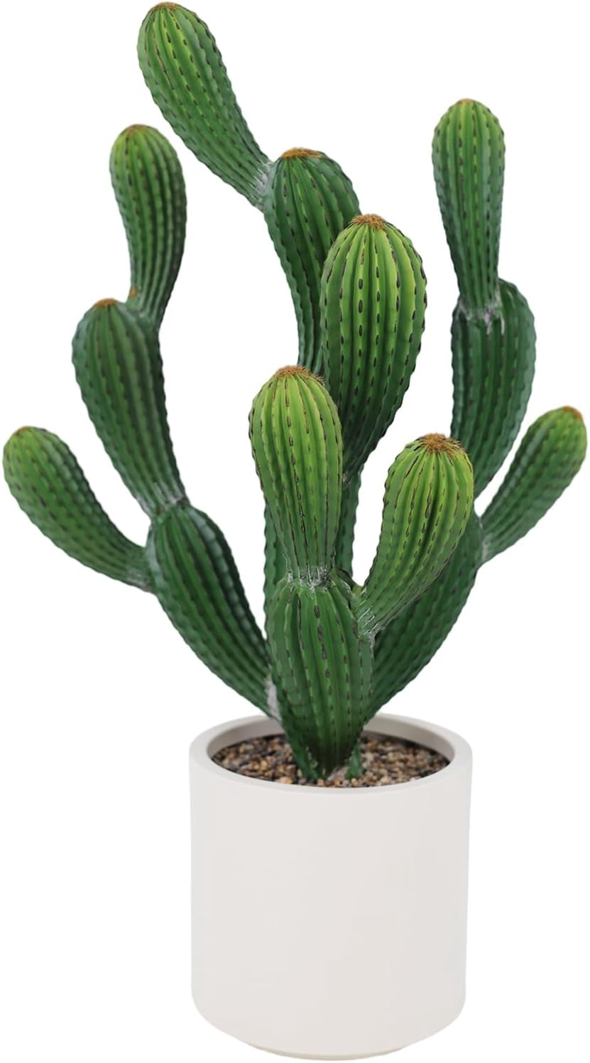 cactus pottery Cactus Ceramic Pitcher