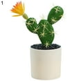 thumbnail image 1 of Artificial Cactus Plants, Mini Fake Desert Plants in White Pots, 1 of 8