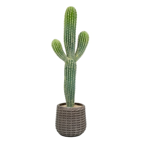 33” Artificial Cactus Plant with Brown Decorative Planter, Realistic Faux Cactus Plants Indoor, Tropical Artificial Cacti Floor Plant for Table Living Room Office Porch Home & Outdoor Decor