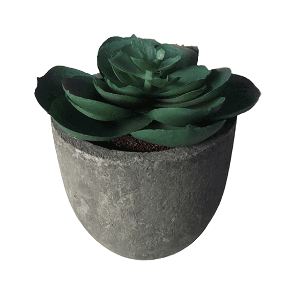 Artificial Cactus in Pot Verdsylv Artificial Cactus in Pot - Decorative Simulation Plant for Home & Office - Suitable for Desk & Shelf Display - No Watering Needed, Decorative Simulation Plant