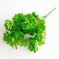 thumbnail image 1 of Artificial Cactus Verdsylv Small Artificial Cactus Plant - Plastic Decorative Garden Arrangement - Suitable for Desk & Shelf Decor - No Watering Required, Plastic Garden Decor, Green, 1 of 9