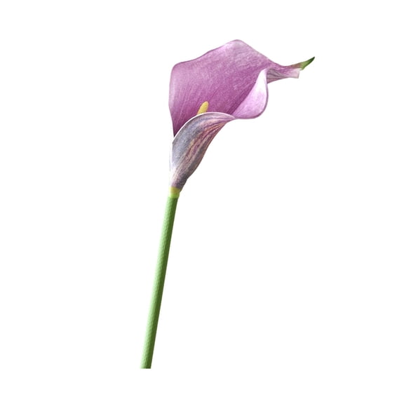 Artificial Calla Lilies 12Pcs 19 Inch Long Stem Purple Flowers, Real Touch EVA Faux Calla Lily for Wedding Bridal Bouquet Centerpiece, Home Decor Mother's Day