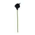 thumbnail image 1 of Artificial Calla Lily, Ongmies Simulation Flower High End New Living Room 10 Calla Simulation Flower Flower Holding Flower Wedding, Black, 1 of 9