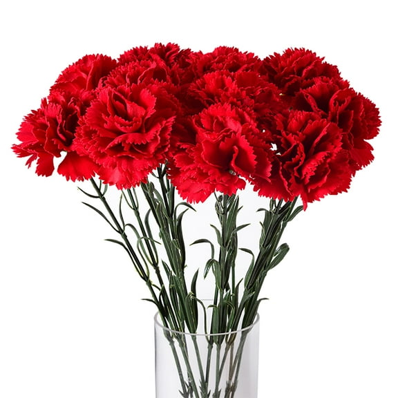Artificial Carnations 10PCS Red Realistic Long Stem Flowers for Home Decor, Wedding Bouquets, Photo Props, and Mothers Day Decoration