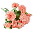 thumbnail image 1 of Artificial Carnations with Stems Leaves Eternal Blossom Silk Carnation Flower Birthday Party for Home, Wedding, 1 of 1