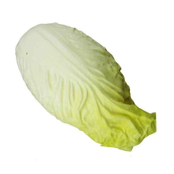 Artificial Chinese Cabbage Educational Chinese Cabbage Simulation Vegetable