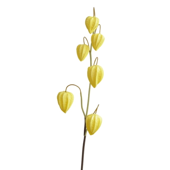 Artificial Chinese Lantern Fruit Branch, Fake Physalis Alkekengi Stem for Home Living Room, Wedding & Autumn Fall Decor
