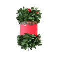 thumbnail image 1 of Artificial Christmas Garland Greenery - Non-Lit Soft Green Pine Vine with Red Berries for Holiday Decor, Twistable Garland for Indoor Outdoor Xmas Tree, Staircase, Fireplace, Party Wedding Decoration, 1 of 6