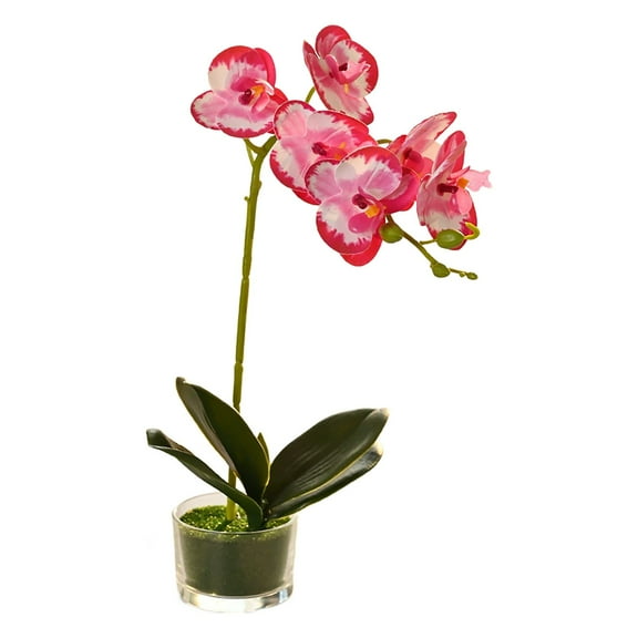 Phalaenopsis Potted Plants ,1 Pcs Glass Vase Artificial Orchid Flower Bonsai Viv Phalaenopsis Flowers Potting For Home Décor Table Centerpiece Room Decorations