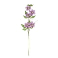 thumbnail image 1 of Artificial Clematis,Faux Floral Bouquet,Realistic Fake Flower for Home Table Wall Vase Decor, 1 of 6