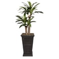 thumbnail image 1 of Artificial Corn Plant 64" Fake Plant Real Touch with Planter, 1 of 3