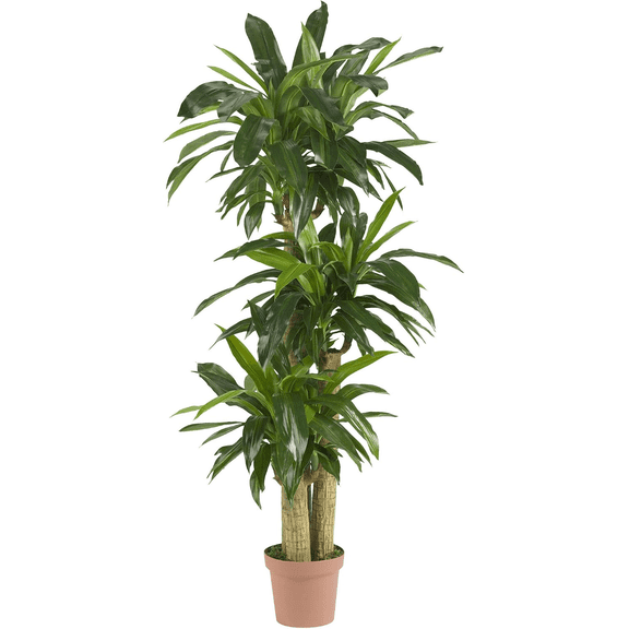 Artificial Corn Stalk Dracaena Plant, 62IN Real Touch Tall Faux Plant for Indoor Home Decor
