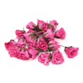 thumbnail image 1 of Artificial Decorative Loose Roses, Pink, 1-Inch, 24-Count, 1 of 1