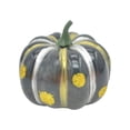 thumbnail image 1 of Artificial Decorative Pumpkin – Black with Spots Finish for Halloween, Thanksgiving, and Fall Holiday Decorating, 1 of 7