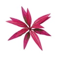 Artificial Dracaena Plant Faux Foliage Decorative Indoor Office Home ...