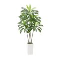 Artificial Dracaena Tree 6 ft, Faux Palm Tropical Plants with White ...