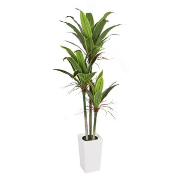 Vipuse 6FT Faux Dracaena Tree, Artificial Plant with White Planter, Living Room Plants for Home & Balcony Decoration